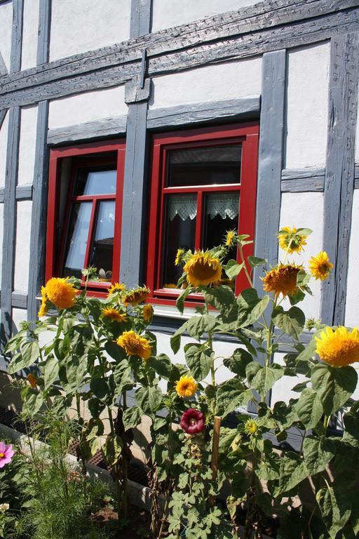 Cafe Landart Im Thueringer Finistere Apartamento Plaue  Exterior foto